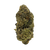 Blue Gelatti exotic THCa flower nug – sativa strain with fruity, gassy flavor and uplifting cerebral effects, available now at Consider It Flowers.