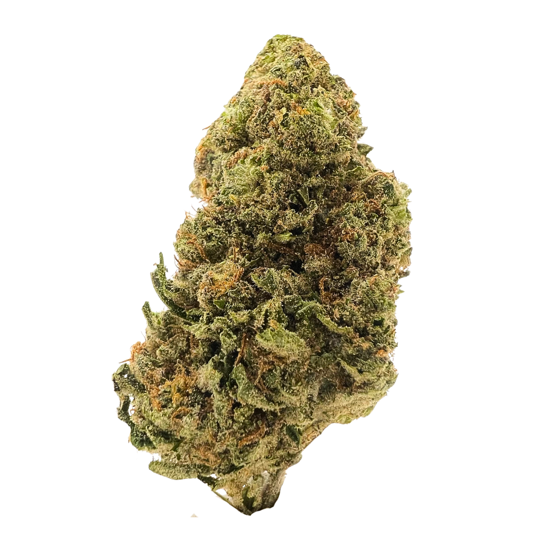 Blue Halo sativa THCa flower with berry-citrus flavor and uplifting effects, available to buy THCa flower online with fast shipping.