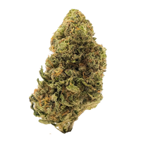 Blue Halo sativa THCa flower with berry-citrus flavor and uplifting effects, available to buy THCa flower online with fast shipping.