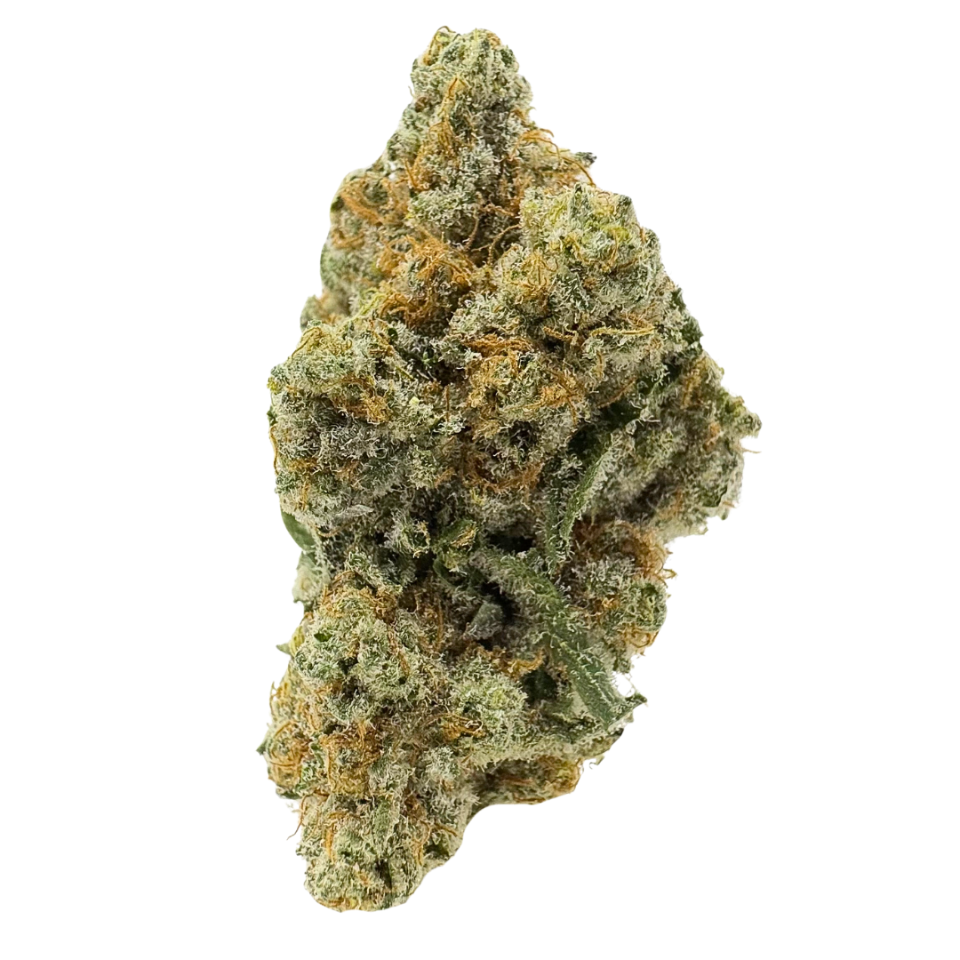 Blue Sunset Sherbet Exotic Indica THCa flower with frosty blue-green buds, sweet blueberry vanilla aroma, and deeply relaxing effects.