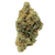 Blue Sunset Sherbet Exotic Indica THCa flower with frosty blue-green buds, sweet blueberry vanilla aroma, and deeply relaxing effects.