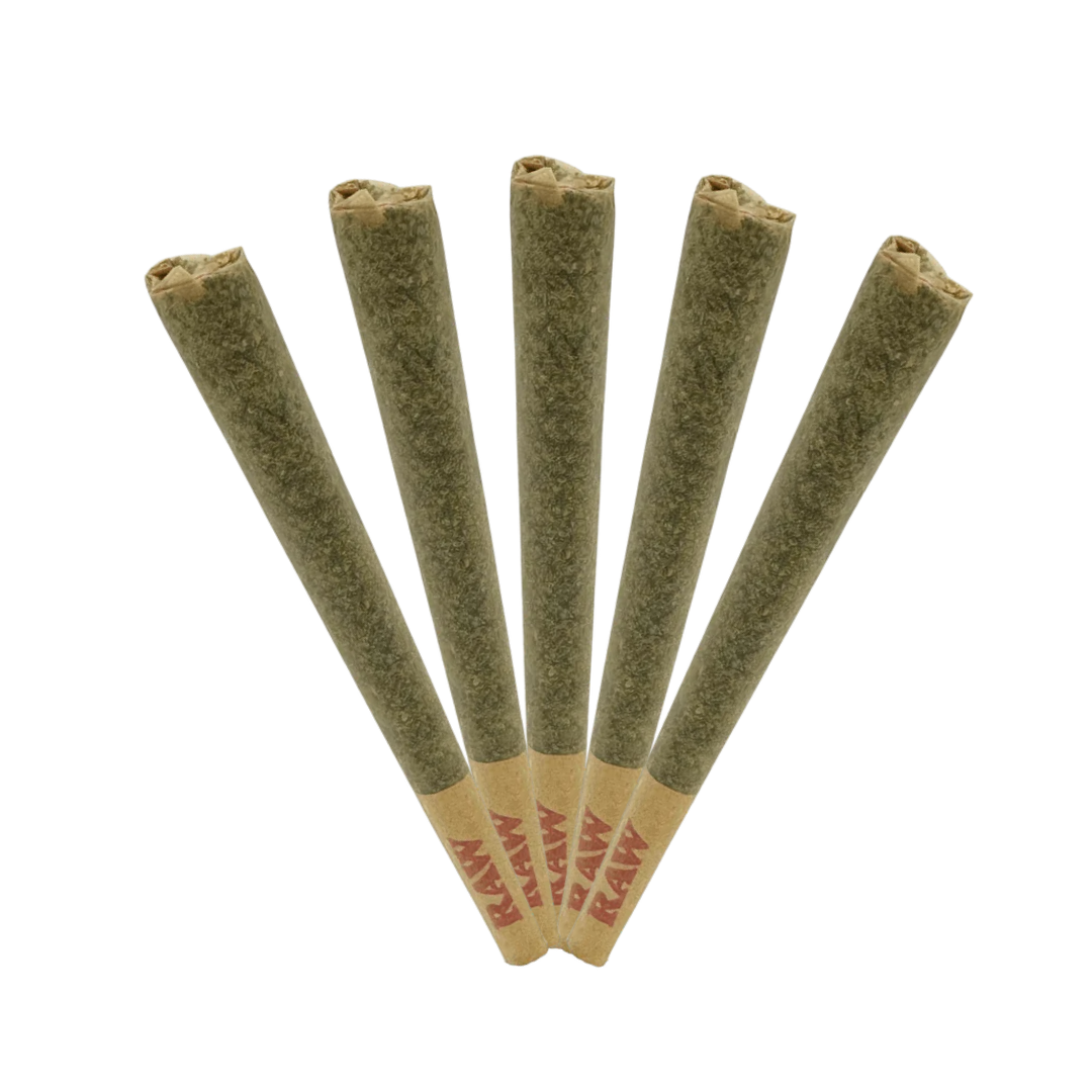 Blueberry AK THCa preroll 5-pack—1g hybrid prerolls with musky berry aroma and euphoric, relaxing effects. Available now at Consider It Flowers.