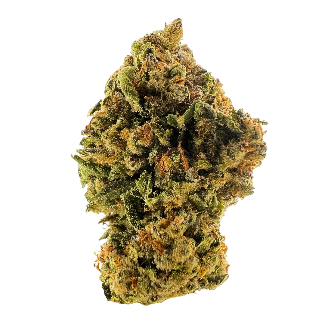 Bob Hope sativa THCa flower with creamy berry citrus flavor and uplifting effects, buy THCa flower online with fast shipping.