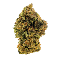 Bob Hope sativa THCa flower with creamy berry citrus flavor and uplifting effects, buy THCa flower online with fast shipping.