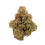Bomb Popz Exotic Private Reserve Hybrid THCa Flower with frosty buds and sweet cherry-blue raspberry aroma. Buy THCa flower online.