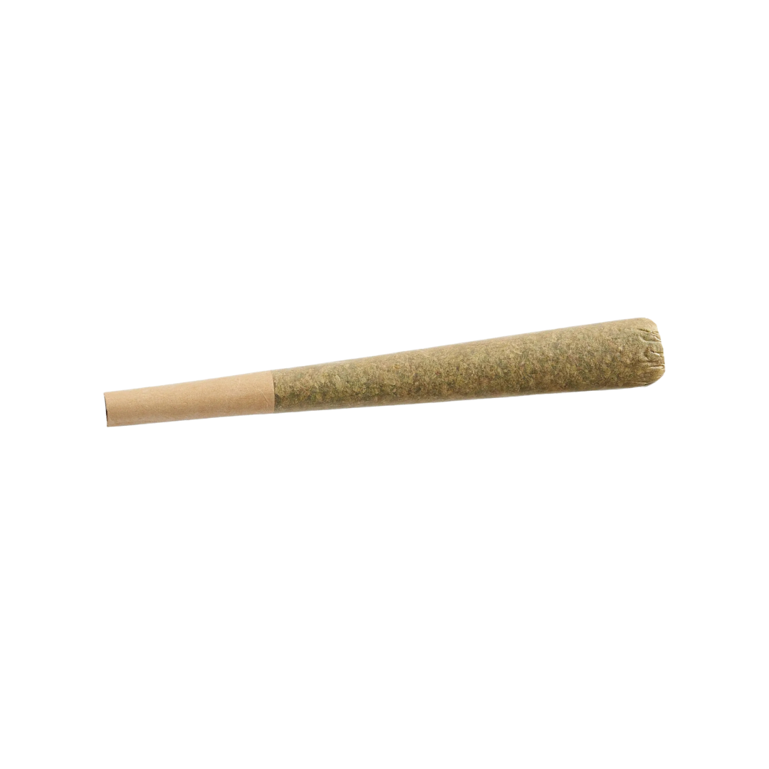 Bruce Banner Sativa preroll by Botanical Bliss x Lifted & Gifted — 1G THCa preroll with uplifting effects. Get THCa prerolls shipped fast from Consider It Flowers.