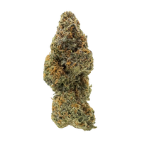 Bubblegum Gelato hybrid Exotic THCa flower with sweet cherry bubblegum flavor and uplifting creative effects available for fast shipping or Nashville delivery. 