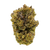 Bubblegum indica THCa flower with bubble gum flavor and relaxing effects. Order online with fast shipping or Nashville delivery.