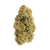 Lemon Brulee premium THCa flower by BBXLG with bright lemon citrus, vanilla cream, sweet pastry, earthy herb, and light gas flavor notes
