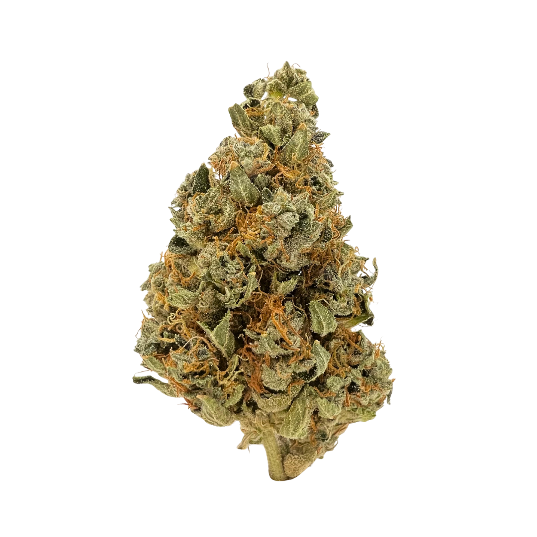 Cake Pop Premium Indica THCa Flower Strain – vanilla cake flavor with spicy pepper finish. Get THCa flower shipped by Consider It Flowers.
