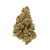 Cake Pop Premium Indica THCa Flower Strain – vanilla cake flavor with spicy pepper finish. Get THCa flower shipped by Consider It Flowers.
