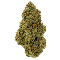 Candyland sativa strain with golden hairs and frosty trichomes. Shop THCa flower online with shipping and Nashville delivery.