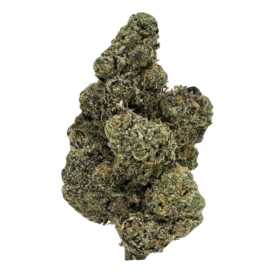 Cherry Paloma strain features citrus, peach, and gas flavors with colorful nugs of purple and green, vibrant orange hairs, and a frosty white coating.