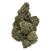 Cherry Paloma strain features citrus, peach, and gas flavors with colorful nugs of purple and green, vibrant orange hairs, and a frosty white coating.