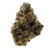 Cherry Slushie Exotic THCa Flower (31%)