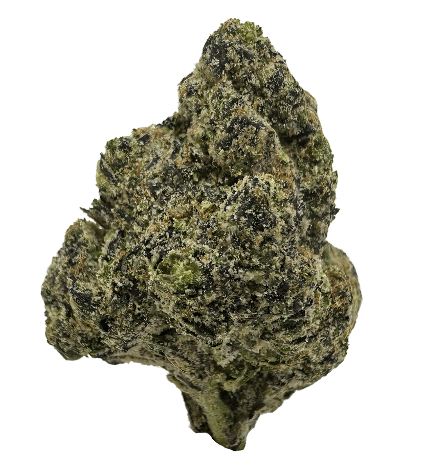 Exotic Codeine Cupz THCA flower showing dense pyramid-shaped buds with deep purple coloring