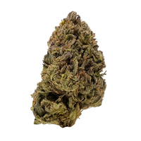 Cookies n Cream hybrid THCa flower with frosty dense buds and sweet vanilla cookie aroma. Buy cannabis online or get fast Nashville delivery.