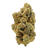 Dante Inferno Private Reserve Exotic Indica THCa Flower Strain – sweet strawberry cream flavor with relaxing, sedative effects. Get THCa flower shipped today.