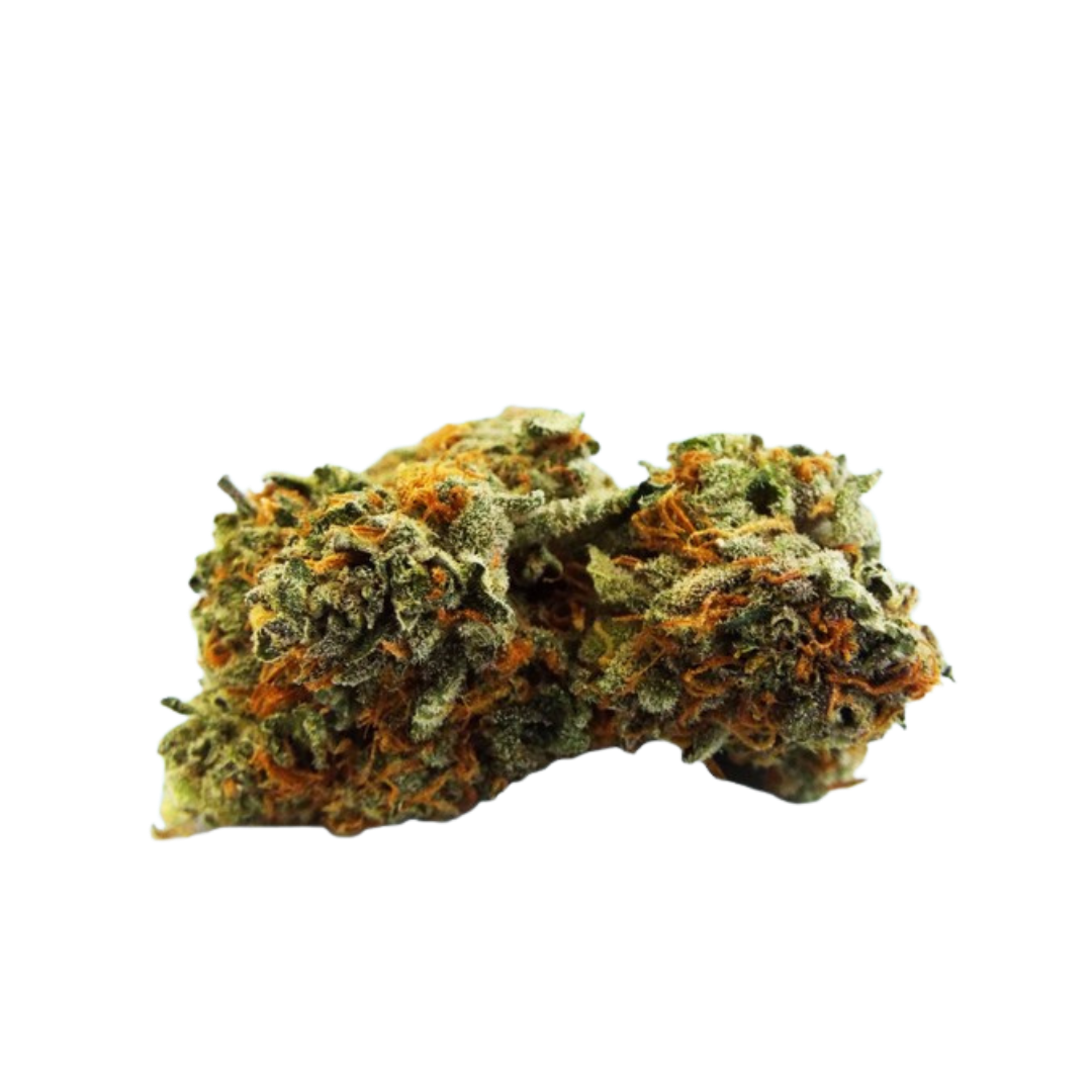 Death Star exotic indoor THCa flower by Nick’s Nugs with dense frosty buds and diesel, earthy kush, pepper, pine, and skunky gas flavors