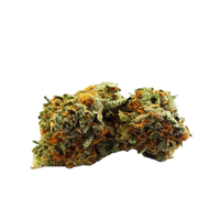 Death Star exotic indoor THCa flower by Nick’s Nugs with dense frosty buds and diesel, earthy kush, pepper, pine, and skunky gas flavors