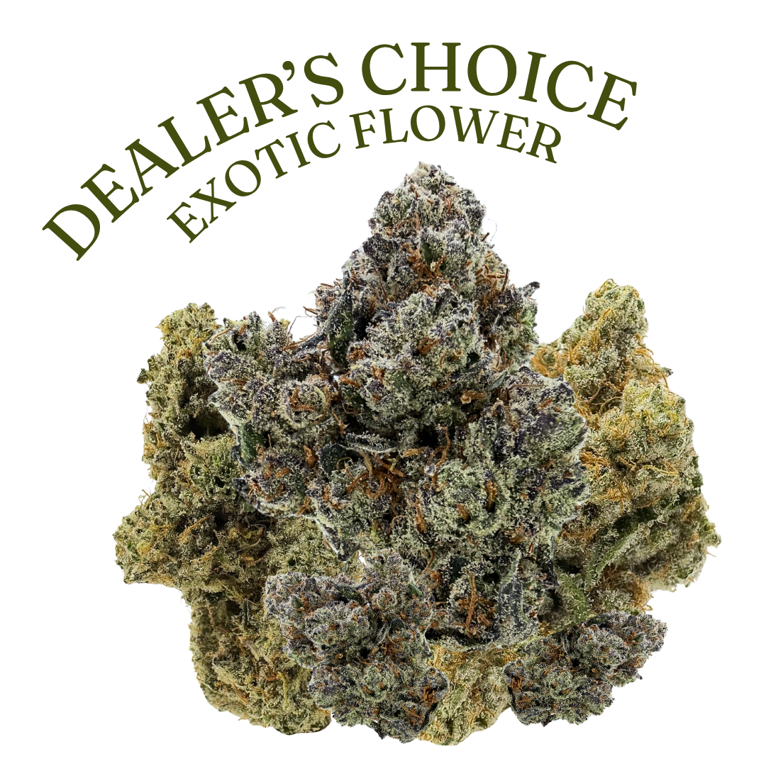 Dealer's Choice Exotic THCa flower for sale – premium indoor-grown THCa hemp flower with dense, frosty purple buds