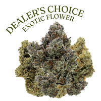 Dealer's Choice Exotic THCa flower for sale – premium indoor-grown THCa hemp flower with dense, frosty purple buds
