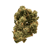 Fire OG: neon green, airy nugs with fiery orange hairs, rich purple undertones, and a frosty white layer of trichomes. A fiery-looking strain.