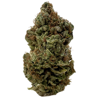 Frosted Slurpee premium sativa THCa flower featuring frosty trichome-covered buds with vibrant colors and exceptional indoor-grown bag appeal.