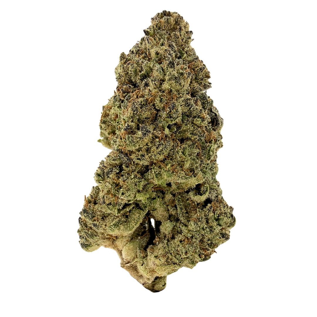 Full Gas sativa strain with vibrant green buds and diesel aroma. Shop THCa flower online with shipping and Nashville delivery.