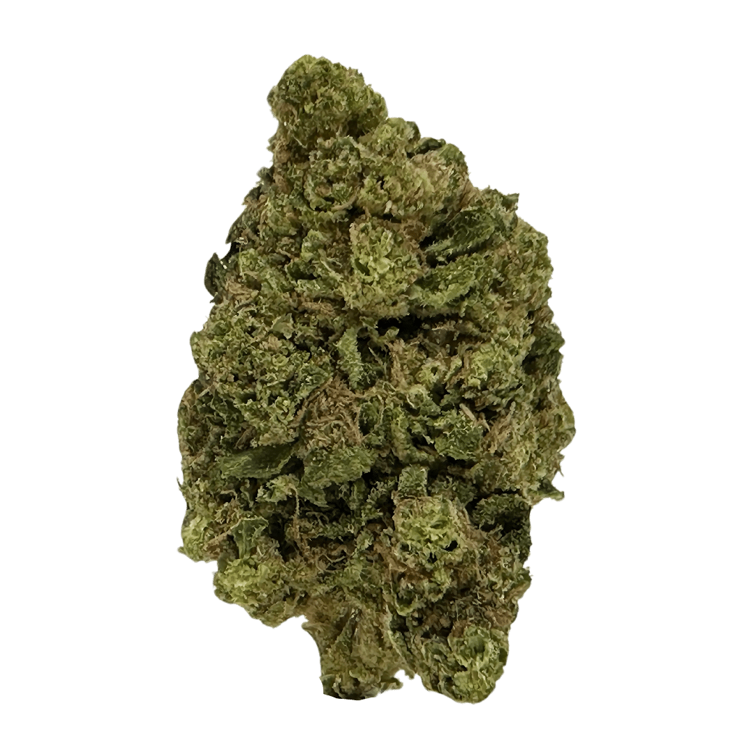 Gorilla Glue #4, aka GG4, is a pungent, earthy indica delivering euphoric relaxation and couch-lock, perfect for unwinding after a long day.