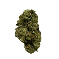 GMO strain: pungent skunk with strong, happy, creative effects. Full-body relaxation, stoney head buzz. Garlic, onion, and diesel aroma.