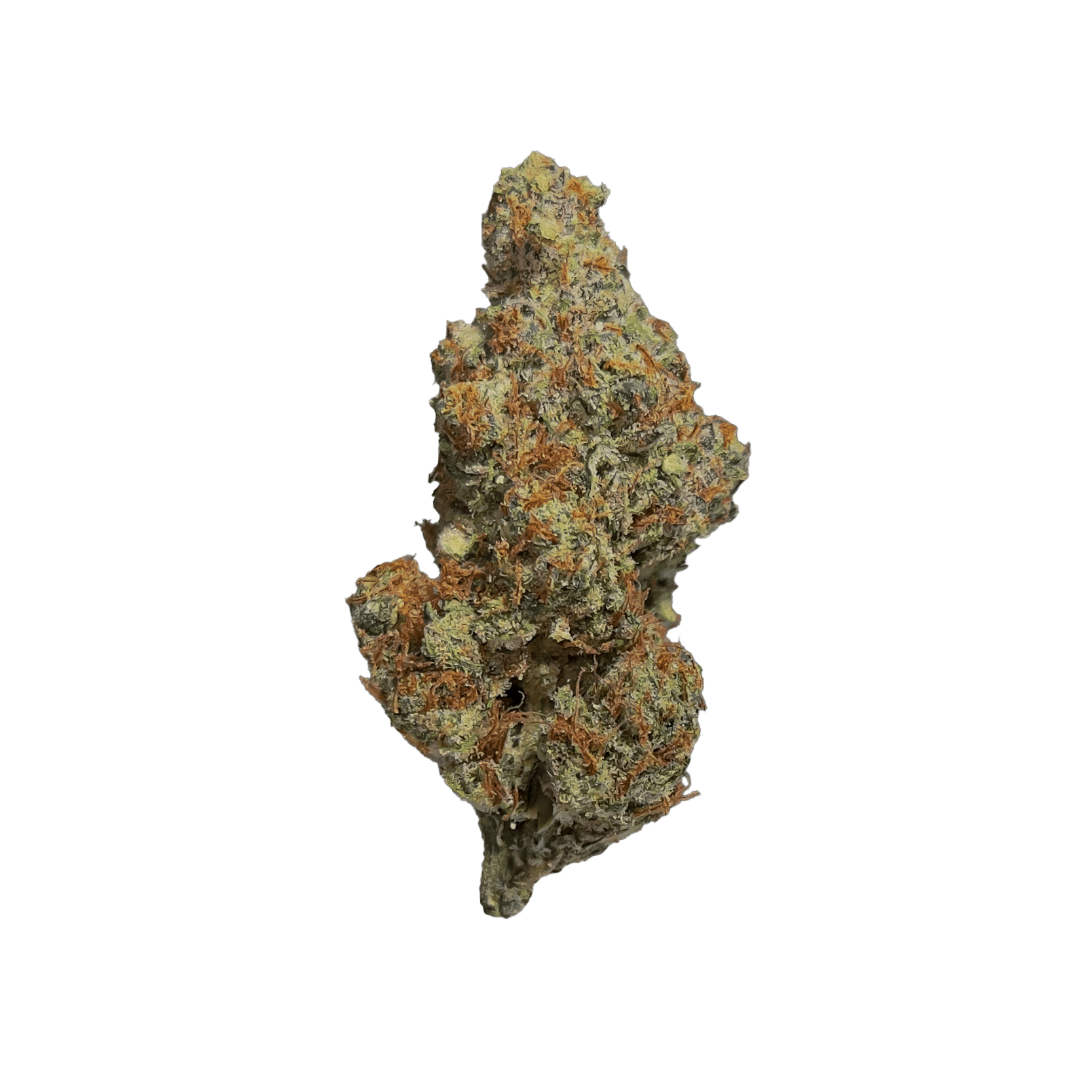 Papaya Bomb strain smalls by Consider It Flowers