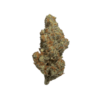 Papaya Bomb strain smalls by Consider It Flowers