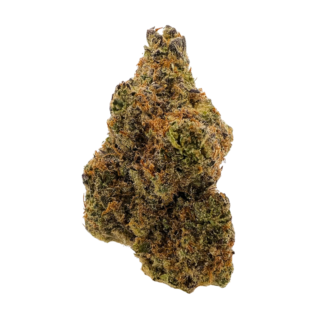 GMO Cookies Private Reserve Indica THCA Flower — fruity, earthy aroma with euphoric calm; buy THCA flower online today for fast delivery and shipping.