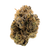 Close-up of GMO Exotic Private Reserve Indica THCa flower strain showcasing frosty trichomes, purple hues, and fiery orange hairs – shop now at Consider It Flowers.