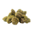Galaxy Runtz Sativa Strain— uplifting, euphoric, and sweet with gassy undertones. Buy THCa flower online with same-day shipping available.