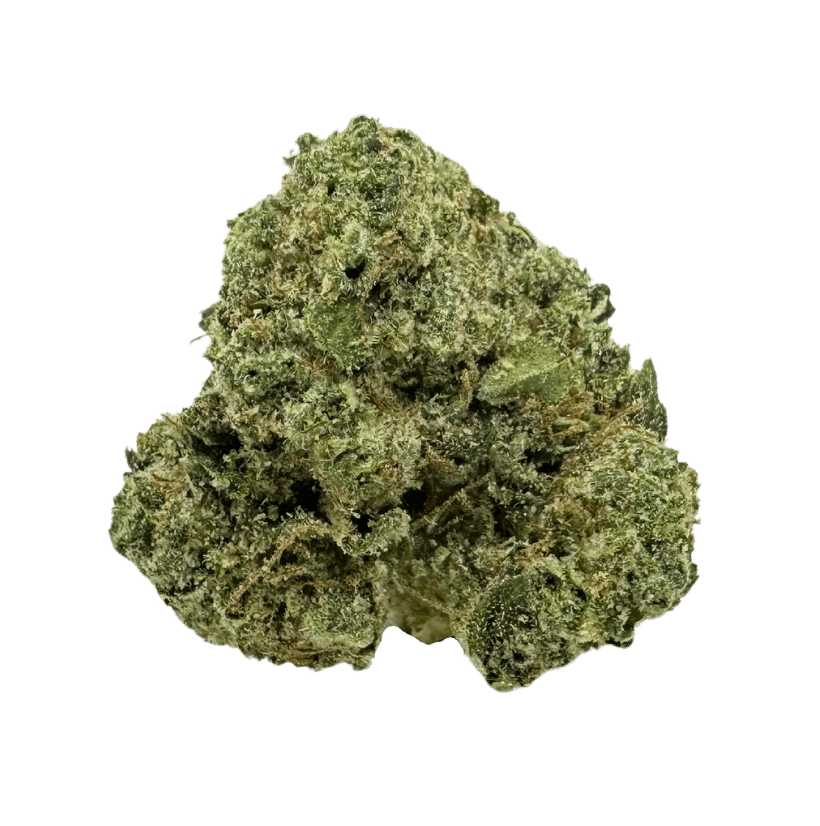 Gelato strain: dense green buds with bright orange hairs. Smells like gasoline on vanilla ice cream. A pungent strain that hits just right.