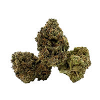 Gelato Sunset premium indoor THCa flower by BBXLG with sweet berry, creamy citrus, vanilla, candy, and light gas flavors