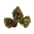 Gelato Sunset premium indoor THCa flower by BBXLG with sweet berry, creamy citrus, vanilla, candy, and light gas flavors