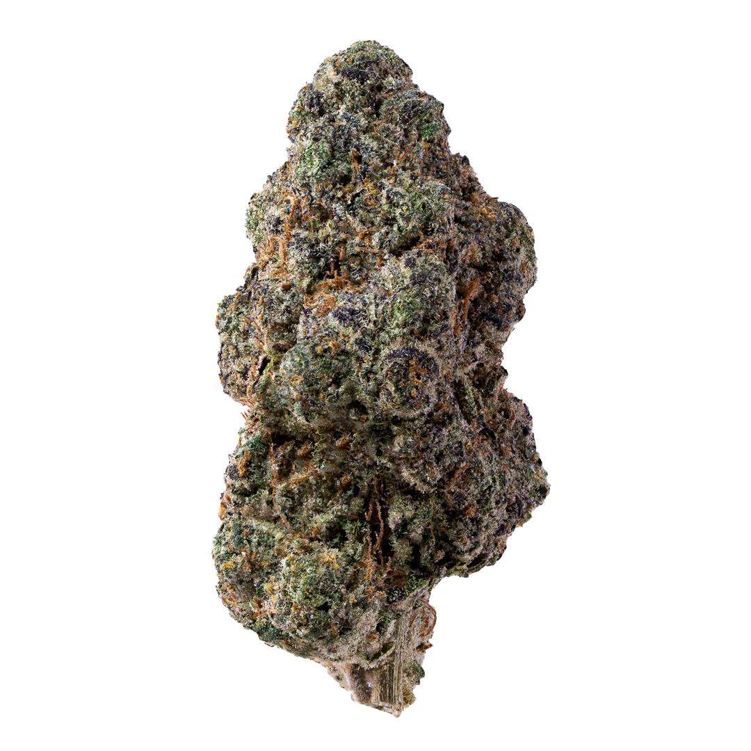 Ghost OG exotic indoor THCa flower by Nick’s Nugs with diesel, earthy kush, pine, black pepper, citrus, and classic OG gas flavor notes
