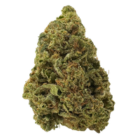 Godfather OG premium THCa flower indica strain, pungent pine kush buds. Buy cannabis online, Nashville delivery, fast shipping.