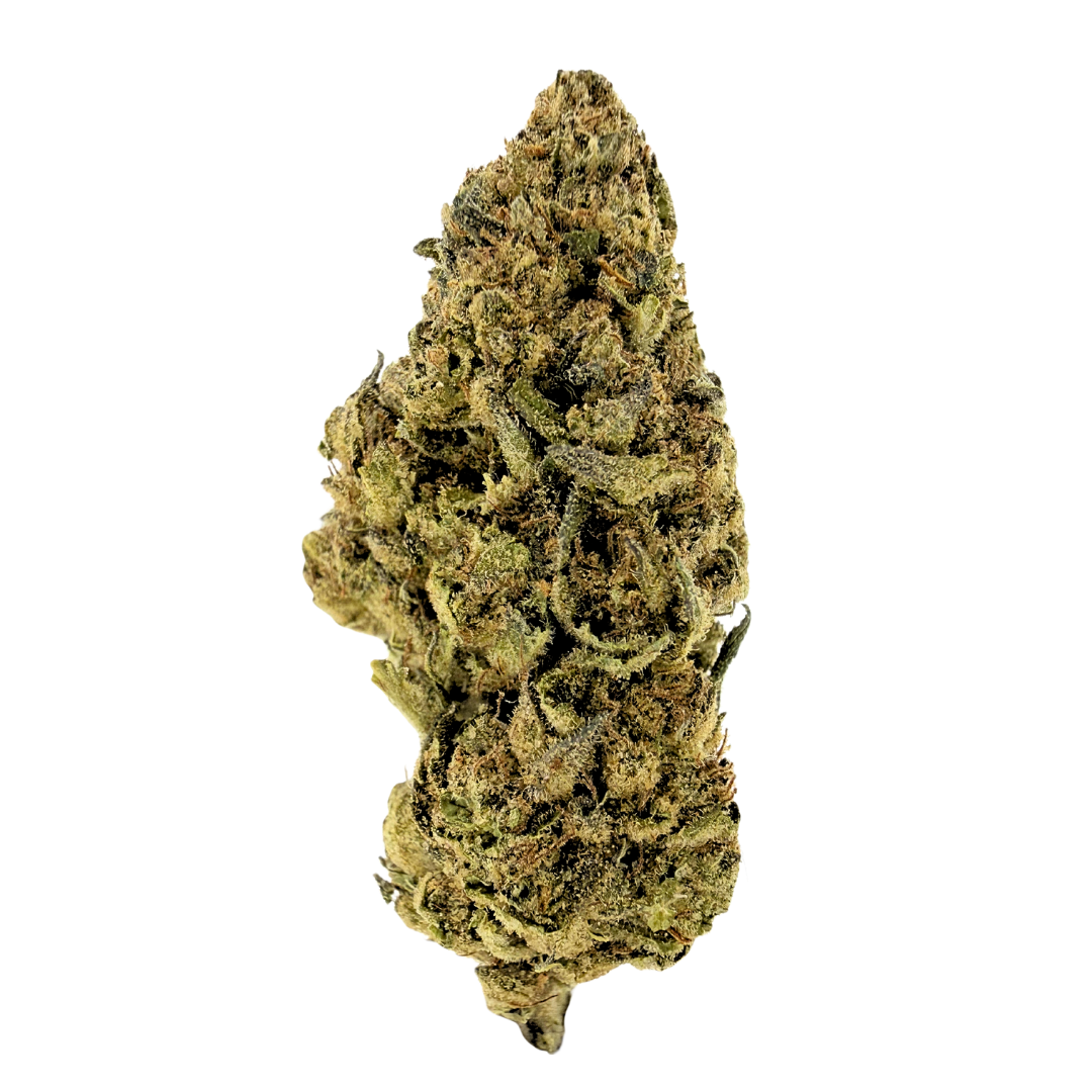 Golden Papaya hybrid strain with olive green buds and golden trichomes. Shop THCa flower online with shipping and Nashville delivery.