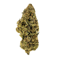 Golden Papaya hybrid strain with olive green buds and golden trichomes. Shop THCa flower online with shipping and Nashville delivery.