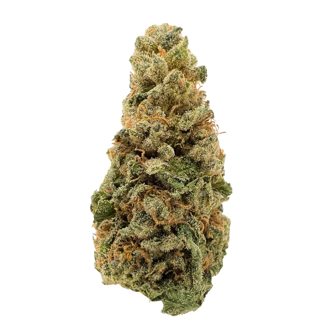 Gorilla Cookies Premium Sativa THCa Flower Strain – spicy herbal cookie flavor, uplifting creative effects. Get THCa flower shipped by Consider It Flowers.
