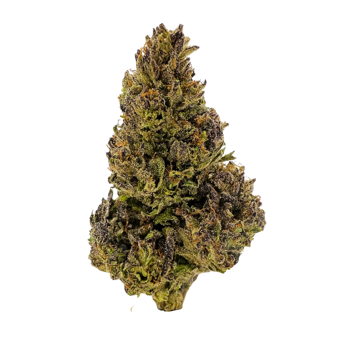 Gorilla Cookies sativa THCa flower with spicy mint cookie flavor and uplifting effects. Order online with fast nationwide shipping or Nashville delivery.