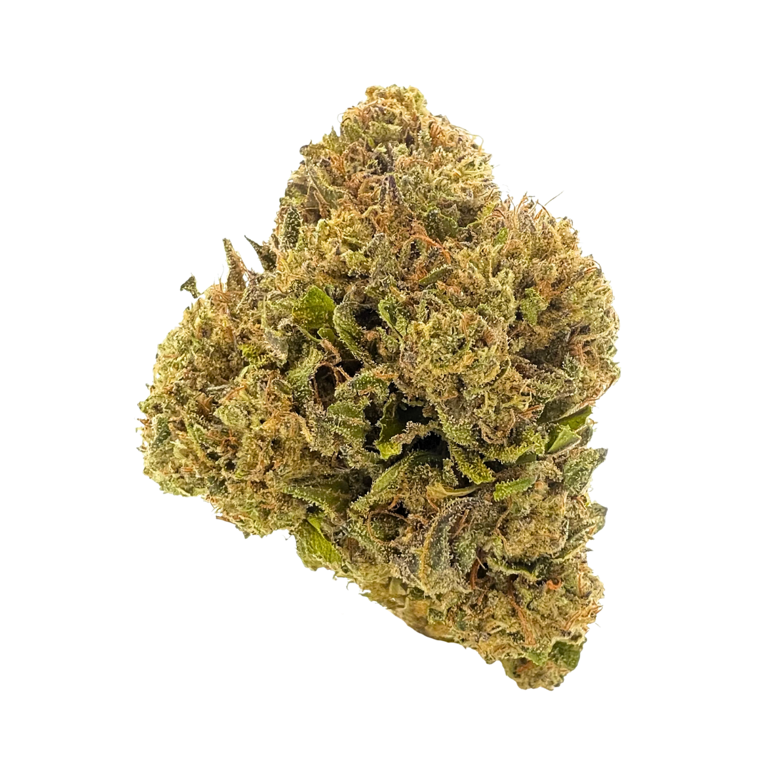 Headband premium indoor THCa flower by BBXLG with sour lemon, earthy pine, creamy diesel, and classic OG gas flavors
