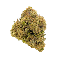 Headband premium indoor THCa flower by BBXLG with sour lemon, earthy pine, creamy diesel, and classic OG gas flavors