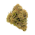 Headband premium indoor THCa flower by BBXLG with sour lemon, earthy pine, creamy diesel, and classic OG gas flavors