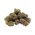 Hooch Premium Smalls Indica Strain – buy THCa flower online with fast nationwide shipping and Nashville same-day delivery.
