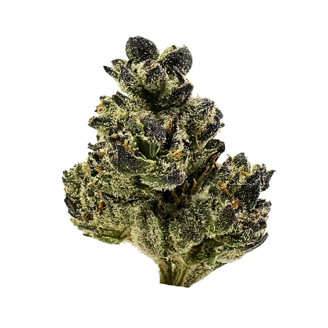 Premium Smalls Ice Cream Cake cannabis flower close-up displaying heavy trichome coverage, deep forest green & purple buds and orange pistils. trichomes.  